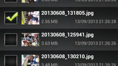 Capture d'écran de File Selector/Explorer 5