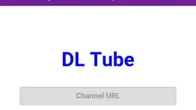 Capture d'écran de DL Tube 8