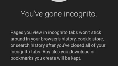 Capture d'écran de Chrome Canary 6