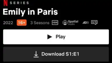 Capture d'écran de Netflix (Android TV) 6