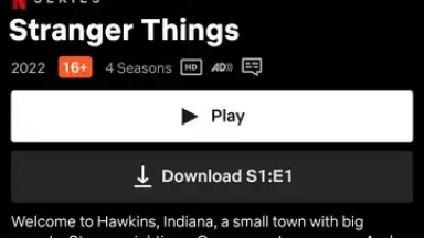 Capture d'écran de Netflix (Android TV) 2