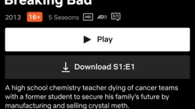 Capture d'écran de Netflix 15