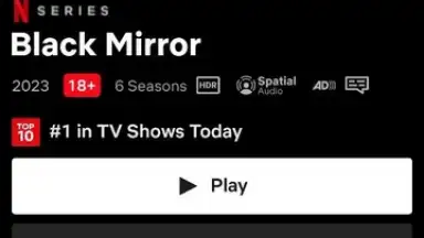 Capture d'écran de Netflix 5