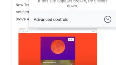 Capture d'écran de Brave Browser 4