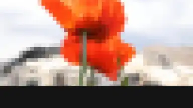 Capture d'écran de PicsArt 28