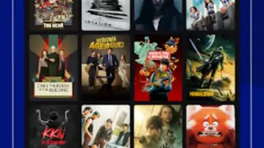 Capture d'écran de Disney+ Hotstar 3