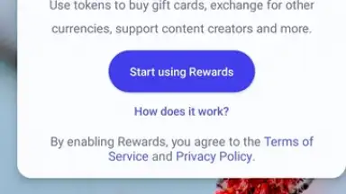 Capture d'écran de Brave Browser (Beta) 3