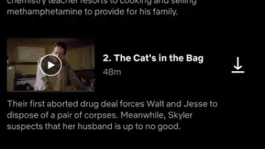 Capture d'écran de Netflix (Android TV) 16