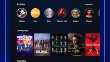 Capture d'écran de Disney+ Hotstar 17