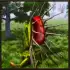 Pitcher Plant Simulator APK
