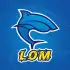 LomVPN apk