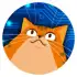 Robot Wants Kitty apk