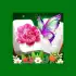 Zen Blossom apk