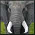 Wild Elephant Simulator APK