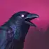 Grim Soul: Dark Fantasy Survival apk