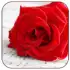 Romantic Love Pics APK